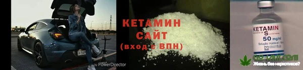 прущие грибы Абдулино
