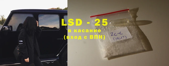 прущие грибы Абдулино