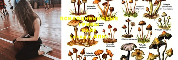 тгк Абинск