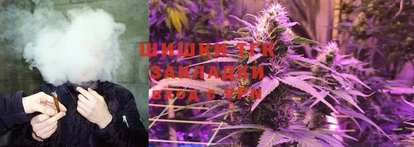 прущие грибы Абдулино