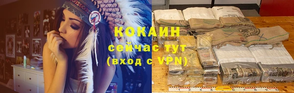 тгк Абинск