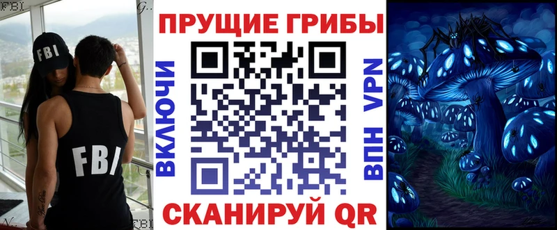 Псилоцибиновые грибы мицелий  blacksprut ссылка  Суздаль  продажа наркотиков 
